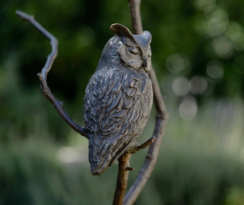 African Scops Owl Bronze Sculpture