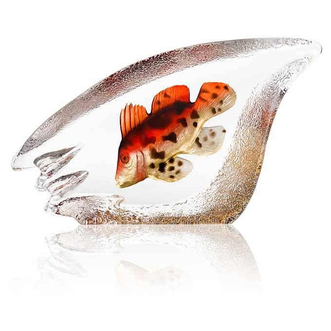 Coral Fish Crystal Sculpture with Color